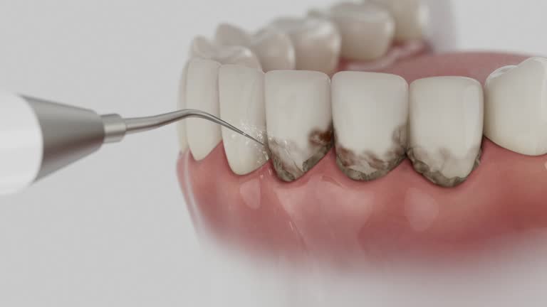 Reliable Dental contractor in Sebastian, TX by Dentist Open Now